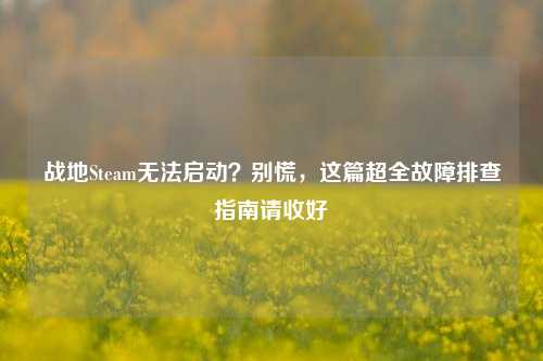 战地Steam无法启动？别慌，这篇超全故障排查指南请收好