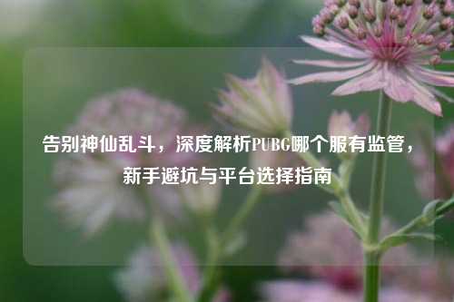 告别神仙乱斗，深度解析PUBG哪个服有监管，新手避坑与平台选择指南