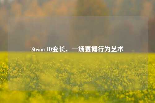 Steam ID变长,一场赛博行为艺术