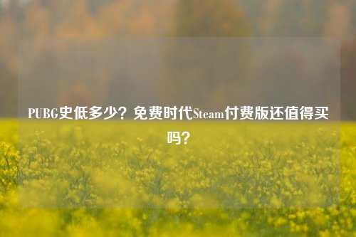 PUBG史低多少？免费时代Steam付费版还值得买吗？