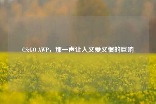 CS:GO AWP，那一声让人又爱又恨的巨响