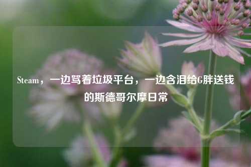 Steam，一边骂着垃圾平台，一边含泪给G胖送钱的斯德哥尔摩日常