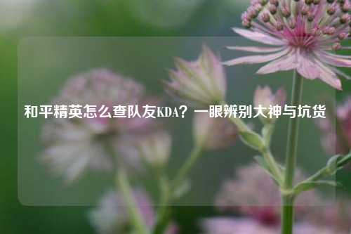 和平精英怎么查队友KDA?一眼辨别大神与坑货
