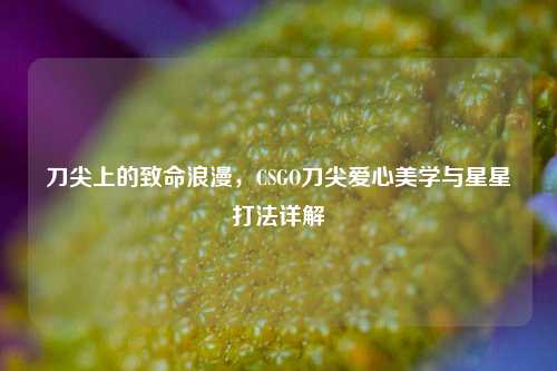 刀尖上的致命浪漫,CSGO刀尖爱心美学与星星打法详解