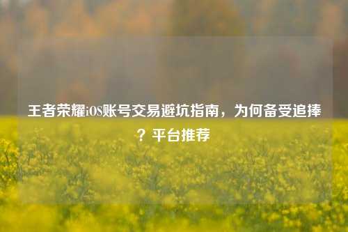 王者荣耀iOS账号交易避坑指南，为何备受追捧？平台推荐