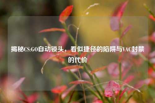 揭秘CS:GO自动锁头,看似捷径的陷阱与VAC封禁的代价