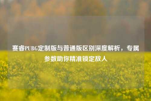赛睿PUBG定制版与普通版区别深度解析,专属参数助你精准锁定敌人