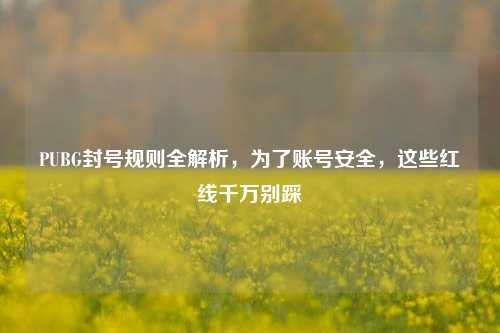 PUBG封号规则全解析，为了账号安全，这些红线千万别踩