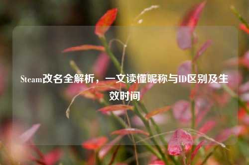 Steam改名全解析，一文读懂昵称与ID区别及生效时间