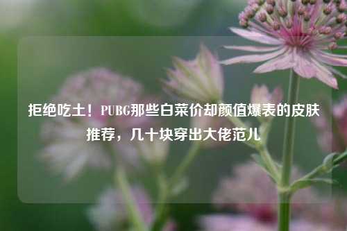 拒绝吃土！PUBG那些白菜价却颜值爆表的皮肤推荐，几十块穿出大佬范儿