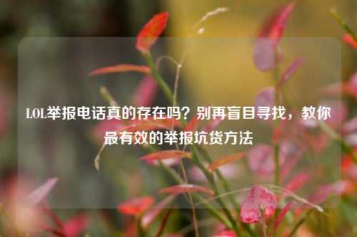 LOL举报电话真的存在吗?别再盲目寻找,教你最有效的举报坑货方法