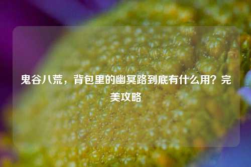 鬼谷八荒,背包里的幽冥路到底有什么用?完美攻略