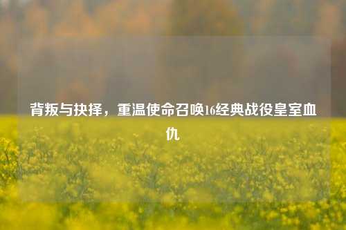 背叛与抉择，重温使命召唤16经典战役皇室血仇