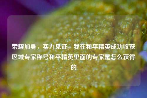 荣耀加身,实力见证,我在和平精英成功收获区域专家称号和平精英里面的专家是怎么获得的