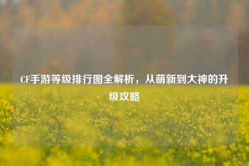 CF手游等级排行图全解析，从萌新到大神的升级攻略