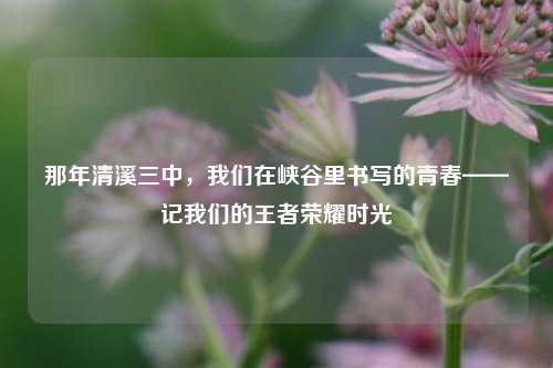 那年清溪三中，我们在峡谷里书写的青春——记我们的王者荣耀时光