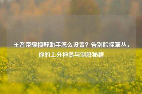 王者荣耀视野助手怎么设置?告别脸探草丛,你的上分神器与制胜秘籍