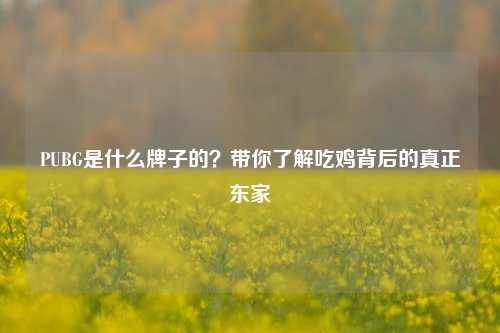 PUBG是什么牌子的？带你了解吃鸡背后的真正东家