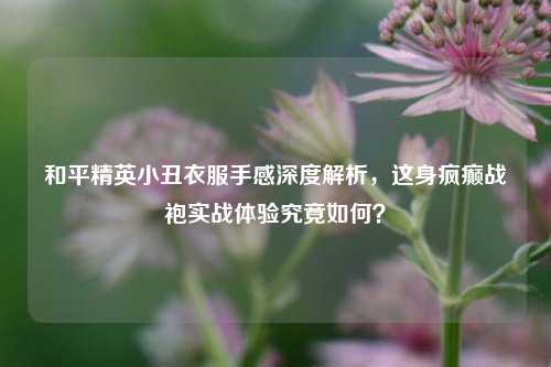 和平精英小丑衣服手感深度解析，这身疯癫战袍实战体验究竟如何？