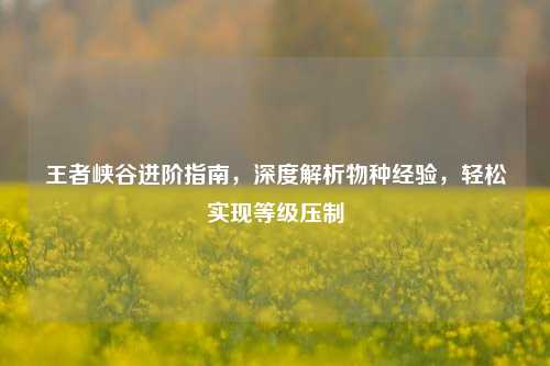 王者峡谷进阶指南，深度解析物种经验，轻松实现等级压制