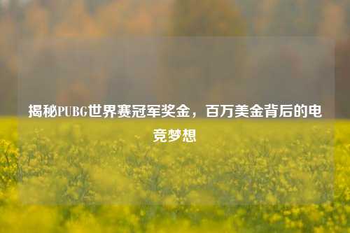 揭秘PUBG世界赛冠军奖金，百万美金背后的电竞梦想