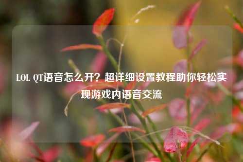 LOL QT语音怎么开?超详细设置教程助你轻松实现游戏内语音交流