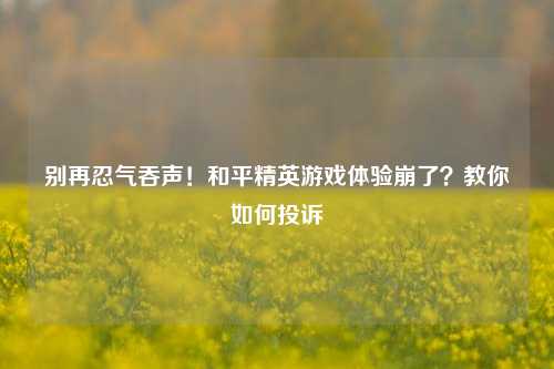 别再忍气吞声！和平精英游戏体验崩了？教你如何投诉