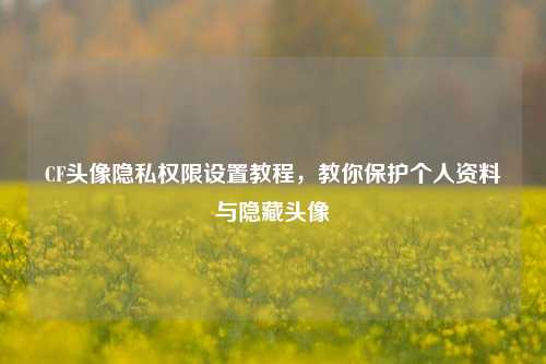 CF头像隐私权限设置教程，教你保护个人资料与隐藏头像