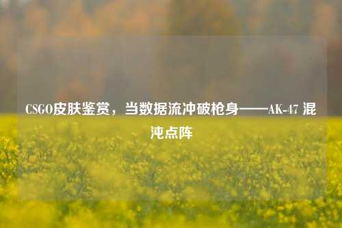 CSGO皮肤鉴赏，当数据流冲破枪身——AK-47 混沌点阵