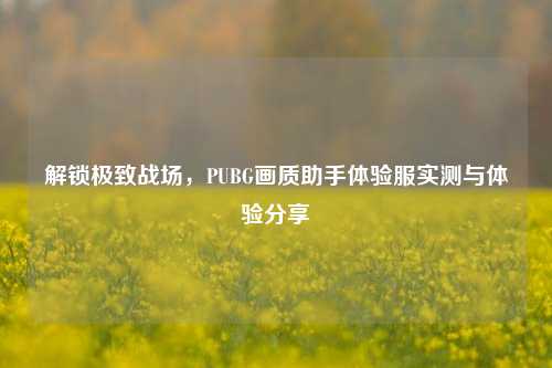 解锁极致战场，PUBG画质助手体验服实测与体验分享