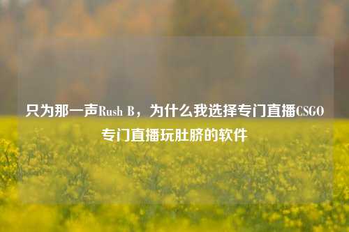 只为那一声Rush B，为什么我选择专门直播CSGO专门直播玩肚脐的软件