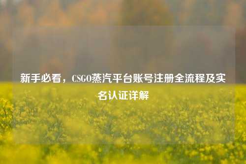 新手必看，CSGO蒸汽平台账号注册全流程及实名认证详解