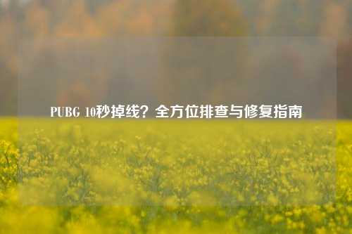 PUBG 10秒掉线？全方位排查与修复指南