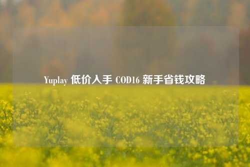 Yuplay 低价入手 COD16 新手省钱攻略