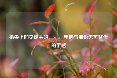 指尖上的灵魂共鸣，Steam手柄与那份无可替代的手感