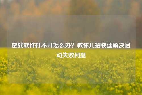 逆战软件打不开怎么办？教你几招快速解决启动失败问题