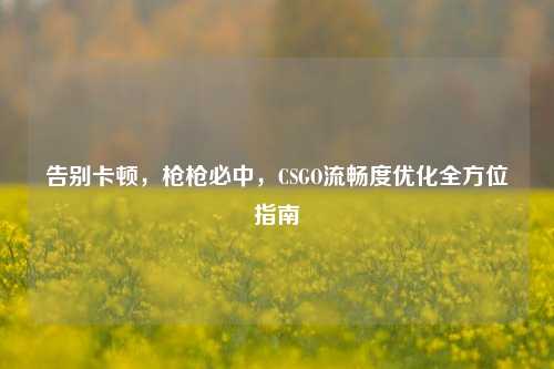 告别卡顿，枪枪必中，CSGO流畅度优化全方位指南