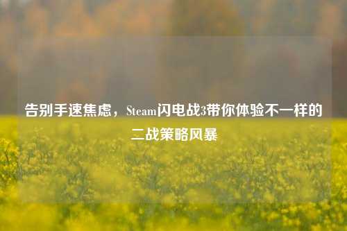 告别手速焦虑，Steam闪电战3带你体验不一样的二战策略风暴