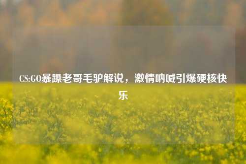 CS:GO暴躁老哥毛驴解说,激情呐喊引爆硬核快乐