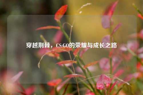 穿越荆棘，CS:GO的荣耀与成长之路