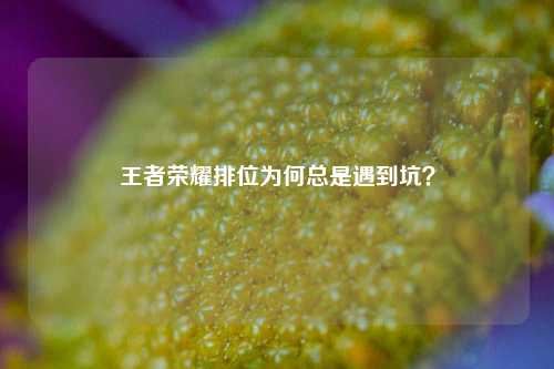 王者荣耀排位为何总是遇到坑？