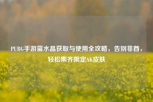 PUBG手游蓝水晶获取与使用全攻略，告别非酋，轻松集齐限定AK皮肤