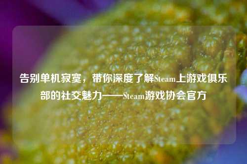 告别单机寂寞,带你深度了解Steam上游戏俱乐部的社交魅力——Steam游戏协会官方