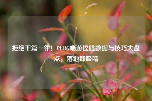 拒绝千篇一律！PUBG端游捏脸数据与技巧大盘点，落地即吸睛