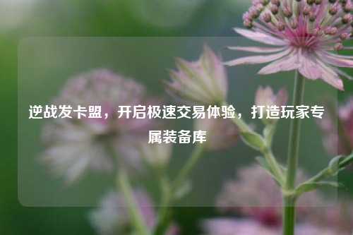 逆战发卡盟,开启极速交易体验,打造玩家专属装备库
