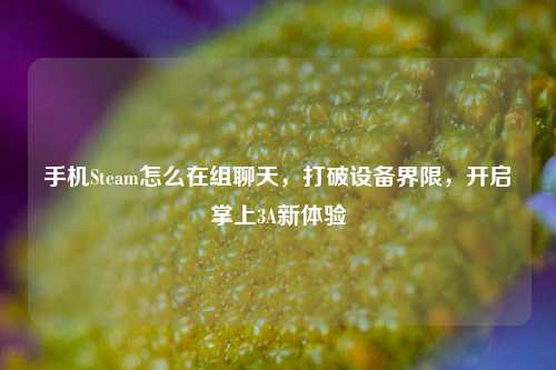 手机Steam怎么在组聊天，打破设备界限，开启掌上3A新体验