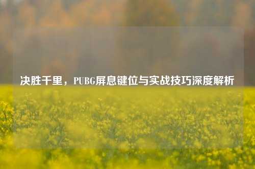 决胜千里,PUBG屏息键位与实战技巧深度解析