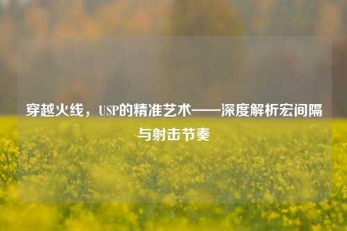 穿越火线，USP的精准艺术——深度解析宏间隔与射击节奏