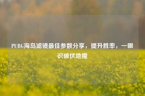 PUBG海岛滤镜最佳参数分享，提升胜率，一眼识破伏地魔