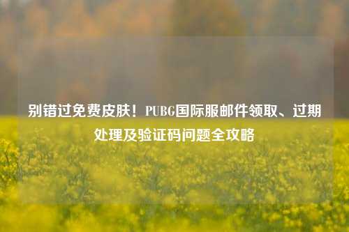 别错过免费皮肤！PUBG国际服邮件领取、过期处理及验证码问题全攻略